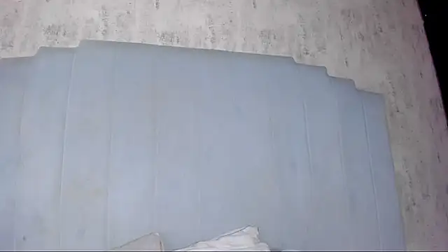 shanty cole online show from July 11, 12:19 pm