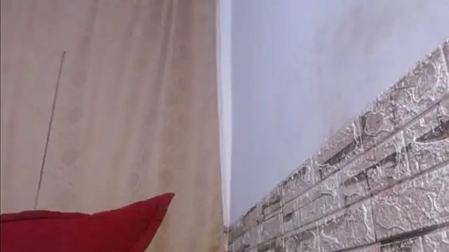 Bicky 24 online show from May 26, 8:54 am