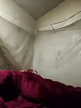 siki-00 online show from January 7, 2:52 pm