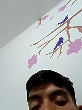 Snapshot of DavidVergagigante420 chatting on October 29, 5:20 am DavidVergagigante420 online show from October 29, 5:20 am