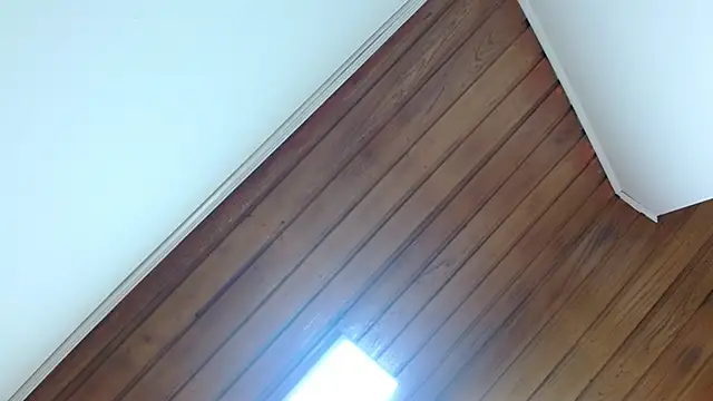 Snapshot of amara_rousse1 chatting on November 27, 1:02 pm amara rousse1 online show from November 27, 1:02 pm