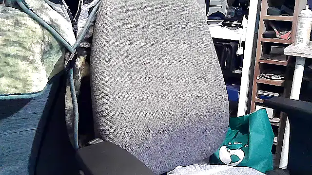 georgew62 online show from September 20, 11:50 pm