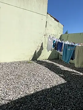 cat9269 online show from November 11, 5:57 pm