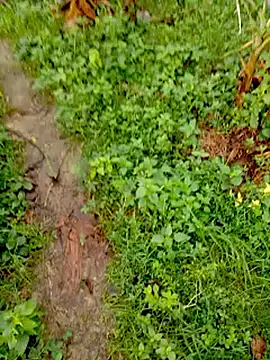 bigdaddyboy46 online show from September 12, 2:00 am