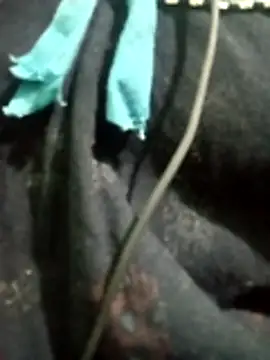 Snapshot of Telugu_hot_cpl chatting on December 16, 5:51 pm Telugu hot cpl online show from December 16, 5:51 pm