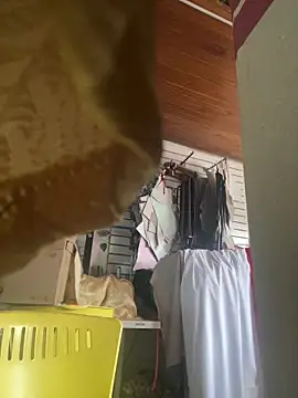 XBODTRIIPX online show from March 7, 8:50 pm