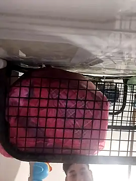 Snapshot of Ferxxxo1503 chatting on November 5, 6:24 am Ferxxxo1503 online show from November 5, 6:24 am