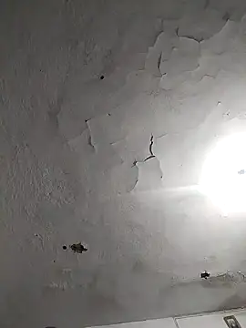 Snapshot of Ferxxxo1503 chatting on November 8, 7:41 am Ferxxxo1503 online show from November 8, 7:41 am