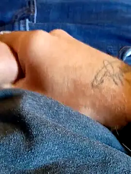 Snapshot of Gain2in1 chatting on November 4, 7:35 pm Gain2in1 online show from November 4, 7:35 pm