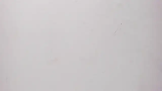 Sofia summers online show from November 25, 3:39 am