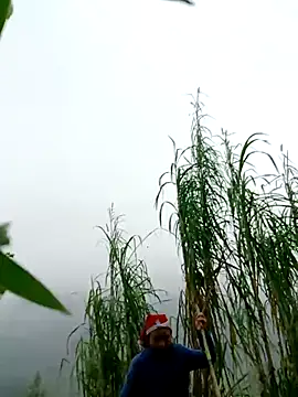 kemtuoi-sex online show from April 1, 2:56 am