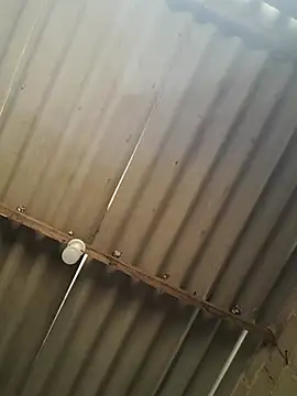 kiimferv online show from November 10, 2:38 pm