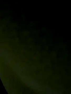 Wild-Nayra online show from October 19, 7:53 am