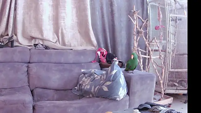 Snapshot of Alexis21821 chatting on November 13, 7:18 am Alexis21821 online show from November 13, 7:18 am