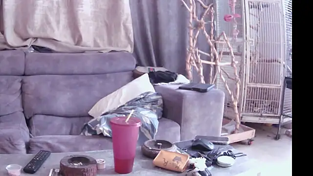 Snapshot of Alexis21821 chatting on November 14, 10:47 am Alexis21821 online show from November 14, 10:47 am