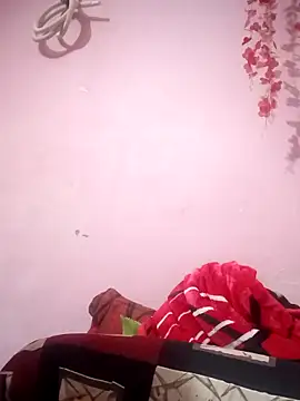 Snapshot of thehotlady chatting on November 24, 8:47 am thehotlady online show from November 24, 8:47 am