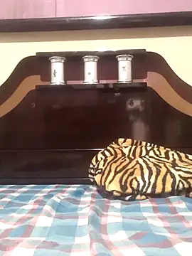 Snapshot of Cachorrinha2025 chatting on November 13, 8:30 pm Cachorrinha2025 online show from November 13, 8:30 pm