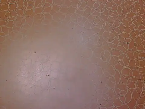 Snapshot of soniya_babby chatting on November 23, 4:01 am soniya babby online show from November 23, 4:01 am