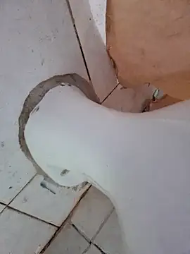 negaa25 online show from October 12, 11:42 am