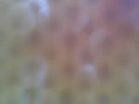 asian bhebs1 online show from September 21, 10:55 pm