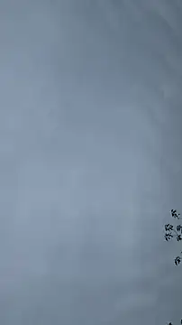 lulu5211 online show from October 26, 9:37 am