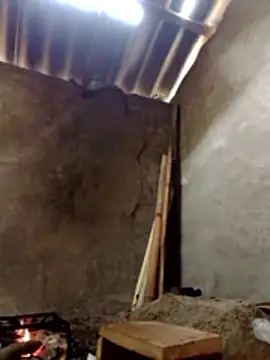 donna-bae online show from March 13, 4:30 am