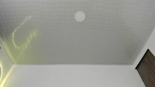 brandy h9 online show from January 17, 3:11 am