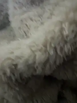 futsam653 online show from November 12, 9:21 am