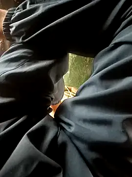 Snapshot of Mahadevm9 chatting on March 20, 4:17 am Mahadevm9 online show from March 20, 4:17 am