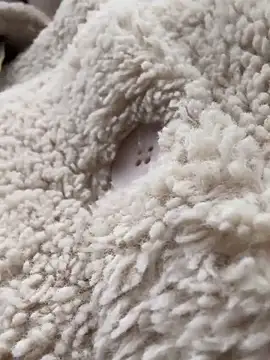 Snapshot of RonnieKiss chatting on October 24, 3:25 am RonnieKiss online show from October 24, 3:25 am