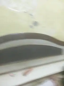 Snapshot of Cute-Charvii chatting on November 28, 6:38 am Cute-Charvii online show from November 28, 6:38 am