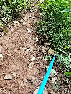 telugumodda4396 online show from September 26, 6:28 am