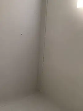 Fun size86 online show from October 4, 4:38 pm