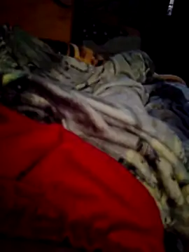 Snapshot of SALCEDO_041198 chatting on November 14, 11:42 am SALCEDO 041198 online show from November 14, 11:42 am