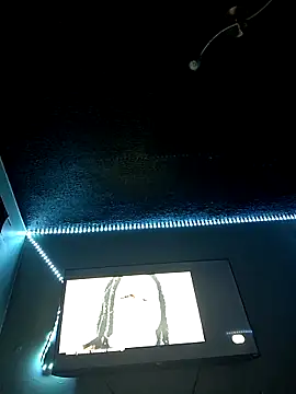 Painstickwes online show from February 5, 9:52 pm