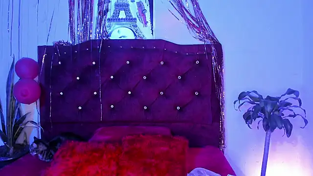 Snapshot of kitty__chs chatting on March 1, 4:36 am kitty chs online show from March 1, 4:36 am