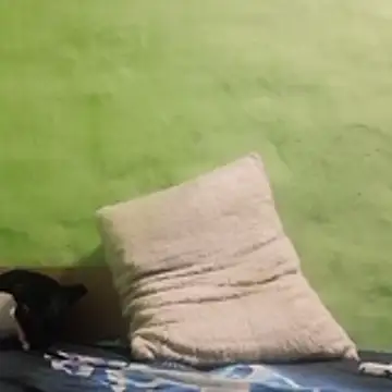 Snapshot of kaland69 chatting on November 9, 9:24 pm kaland69 online show from November 9, 9:24 pm