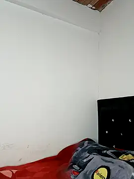 Opal S online show from November 21, 12:48 pm