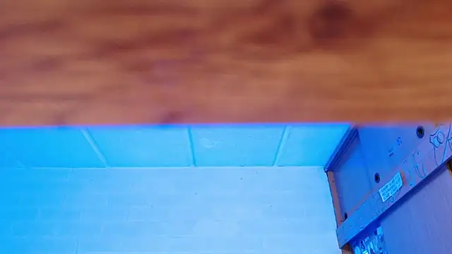 Snapshot of Amy66 chatting on December 3, 7:49 am Amy66 online show from December 3, 7:49 am