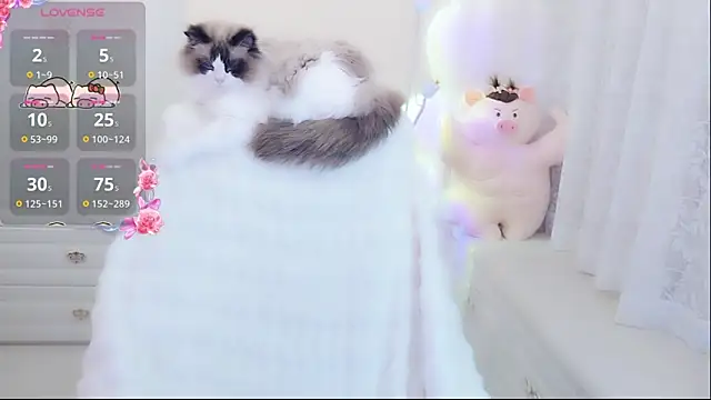 Snapshot of Coco-Di chatting on May 9, 1:44 am Coco-Di online show from May 9, 1:44 am