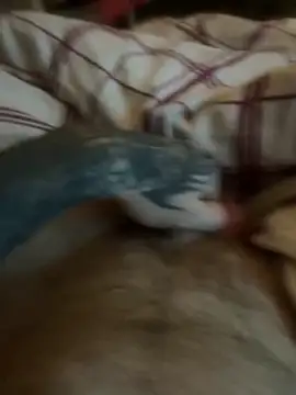 Snapshot of Thebald-topher chatting on September 28, 11:10 pm Thebald-topher online show from September 28, 11:10 pm