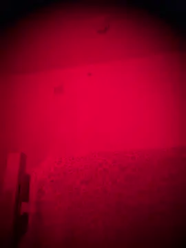 bellacagyal online show from February 2, 9:19 am