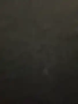 lee ly online show from December 15, 11:36 am