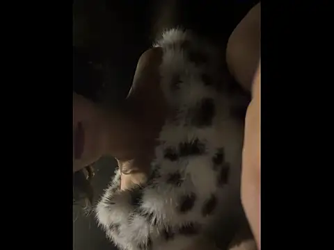 Snapshot of xiaowan_x chatting on November 25, 2:06 pm xiaowan x online show from November 25, 2:06 pm