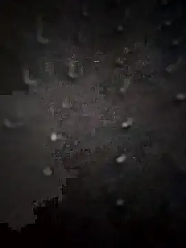 PEEHU-50 online show from January 13, 1:55 am