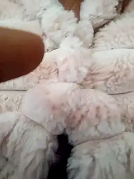 PEEHU-50 online show from January 17, 2:38 am