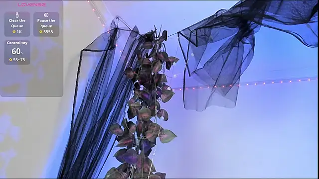 Shinny Crystal online show from October 22, 1:33 pm