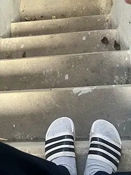 max22palm online show from October 2, 6:31 am