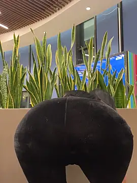 Snapshot of ilariea_girl chatting on February 3, 5:07 pm ilariea girl online show from February 3, 5:07 pm