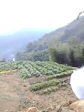 Bum 538 online show from November 23, 12:21 am